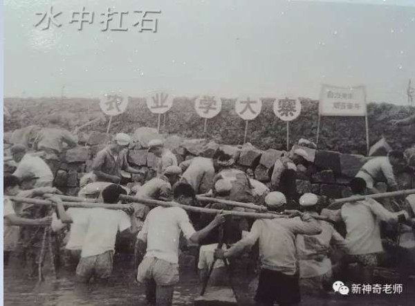 珍贵！一组澄海70年代围海造田的老照片，你一定没有看过...