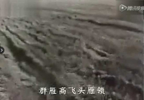 文革期间，中国拍过多少部电影 ？