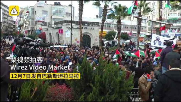 催泪弹下，巴勒斯坦大妈含泪批美