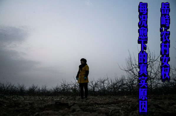 岳峙：农村女权每况愈下的真实原因