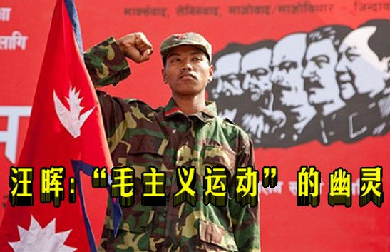 汪晖：“毛主义运动”的幽灵（综合）