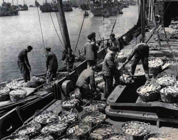 新中国工业革命与世界工业化回眸（六）