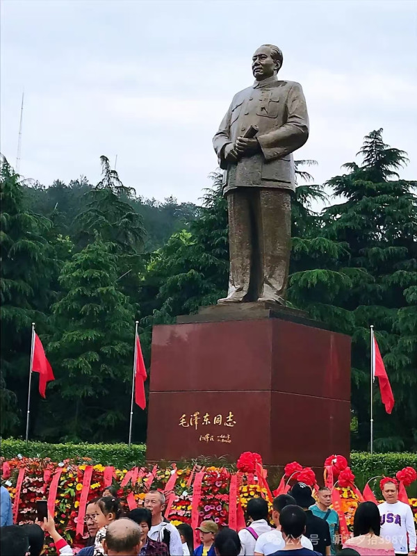 又见韶山杜鹃红