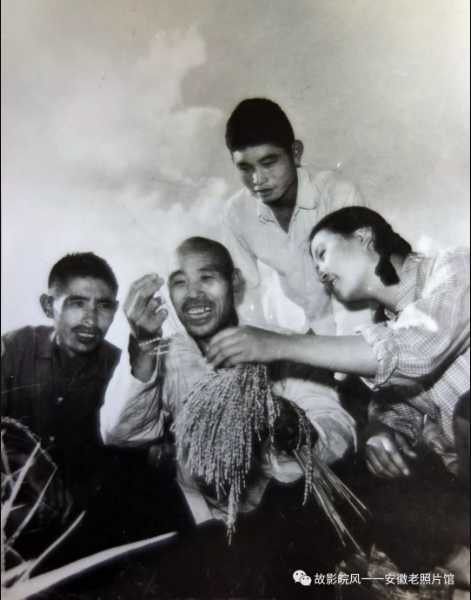 独家影像:安徽70年代的知青岁月