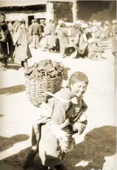 藏族同胞为什么把毛主席共产党当神供?