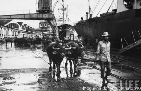 工业革命——世界工业化三百周年回眸（十五）