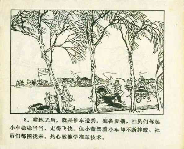 《广阔的天地》——“知识青年到农村去”