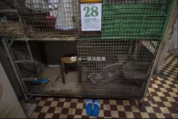 看下香港的笼屋