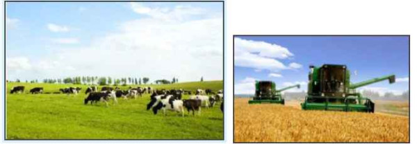 萨米尔·阿明：从万隆到当下——亚非拉面临的新旧挑战