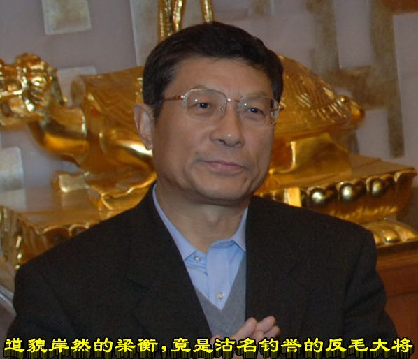 道貌岸然的梁衡，竟是沽名钓誉的反毛大将