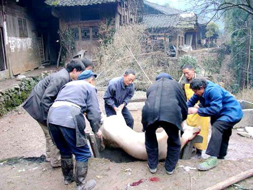 秀山土家苗寨年俗拾遗