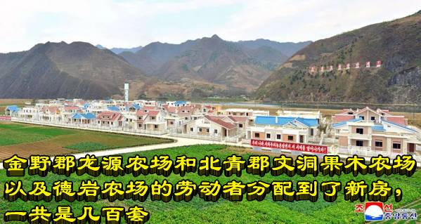 朝鲜：金野郡龙源等农场的劳动者分配到了新房