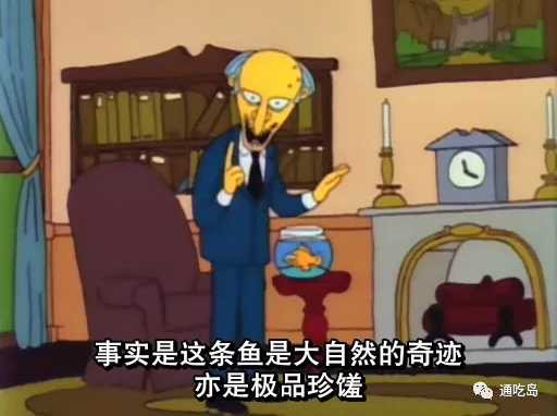 政治素人、恶名昭著的资本家竞选，获得红脖子支持，最后关头因突发事件惜败