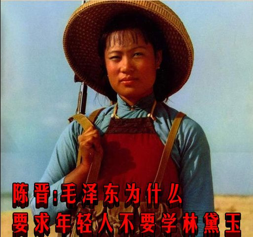 陈晋：毛泽东为什么要求年轻人不要学林黛玉