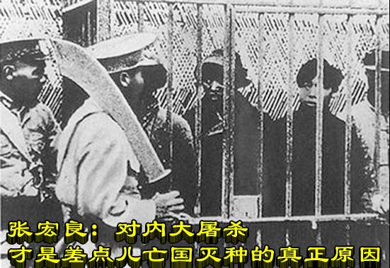 张宏良：对内大屠杀才是差点儿亡国灭种的真正原因