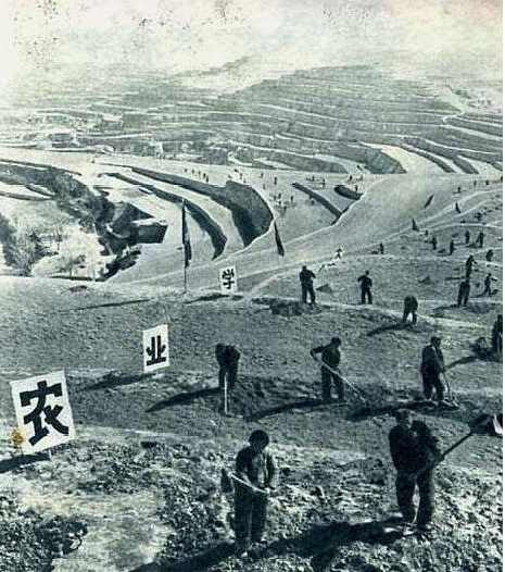 老照片:农业学大寨,旧貌换新颜,大寨精神美名扬
