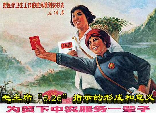 张宏良：农村有多少患病老人是被“药儿子”“绳儿子”和“水儿子”收走的，有谁统计过？