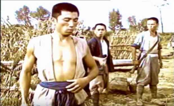 论共产党与群众关係问题 洪湖赤卫队