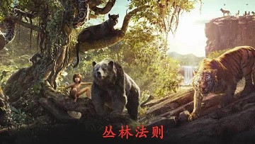 论无产阶级的成家：相识—相恋—结婚的辩证思考