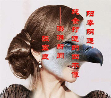 张宏良： 阳奉阴违，纯金打造的四不像