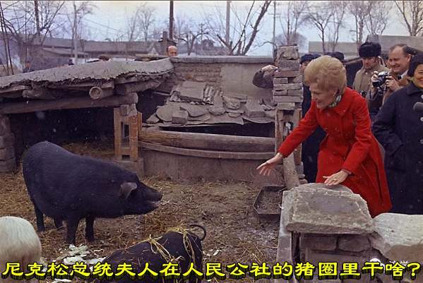 尼克松总统夫人在人民公社的猪圈里干啥？