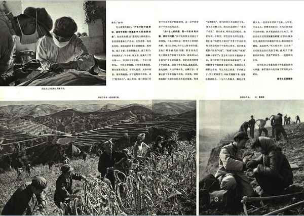 毛主席发怒：为了农民，卫生部不能只为老爷服务