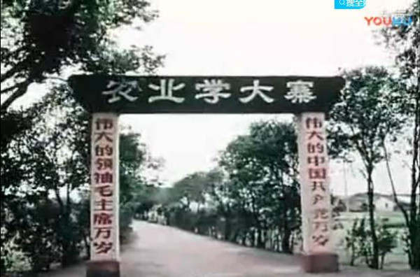 毛主席“6.26”指示的形成和意义