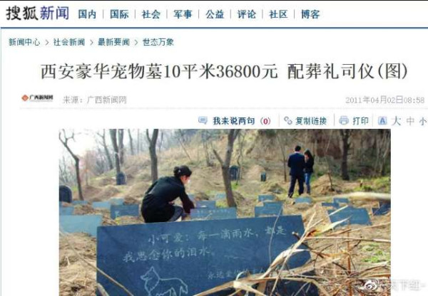 网红的狗坐轿子，富人的狗改历史