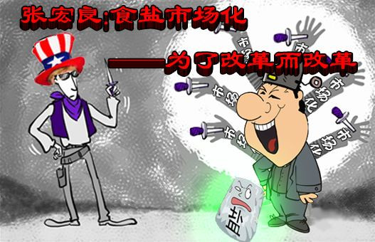 张宏良：食盐市场化——为了改革而改革