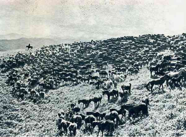老照片:农业学大寨,旧貌换新颜,大寨精神美名扬