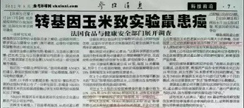 蹊跷车祸
