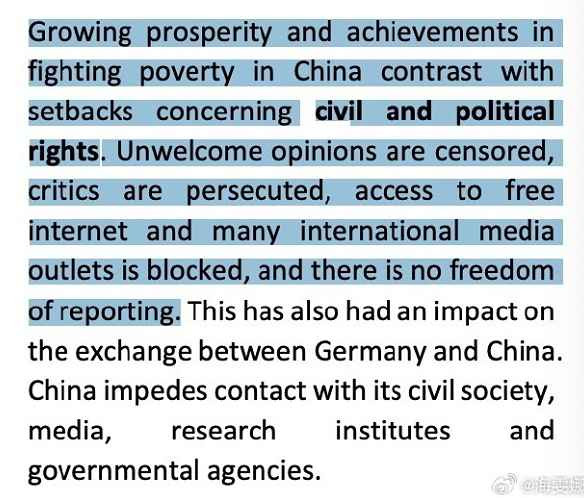 海雯娜：这份德国国家战略十分消极