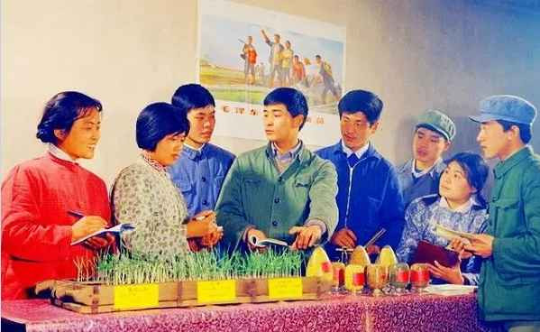 一组北大荒知青老照片