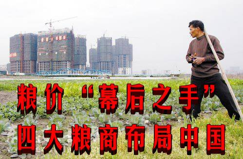 粮价“幕后之手” 四大粮商布局中国
