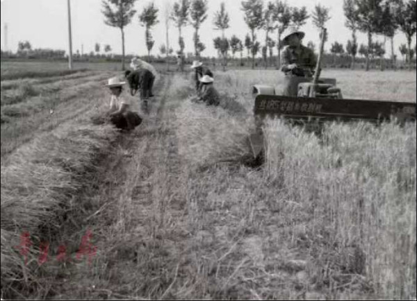 1975年农业学大寨，山东烟台地区农业机械化取得了可喜的成就