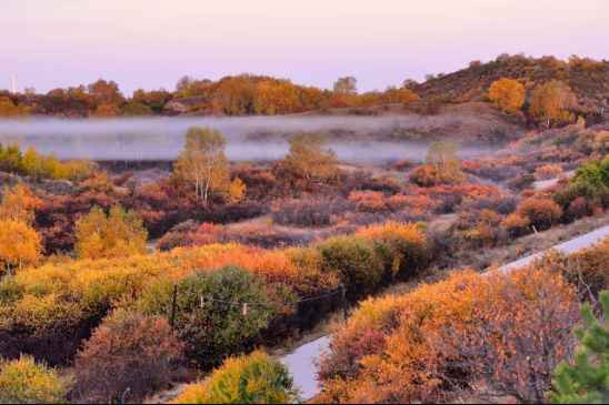 看到塞罕坝的老照片，我落泪了