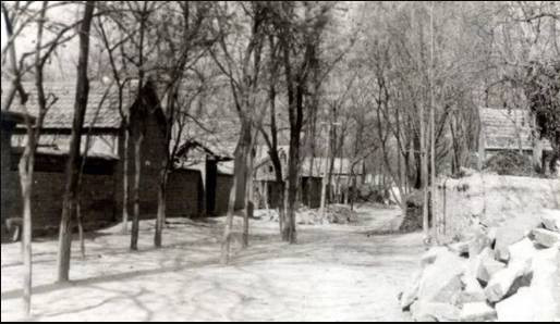 丰县往事：探寻“铁链女”的悲剧开端