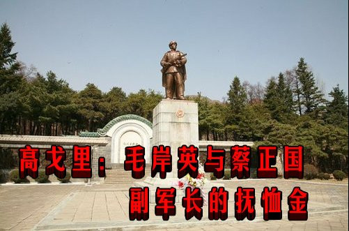 高戈里：毛岸英与蔡正国副军长的抚恤金
