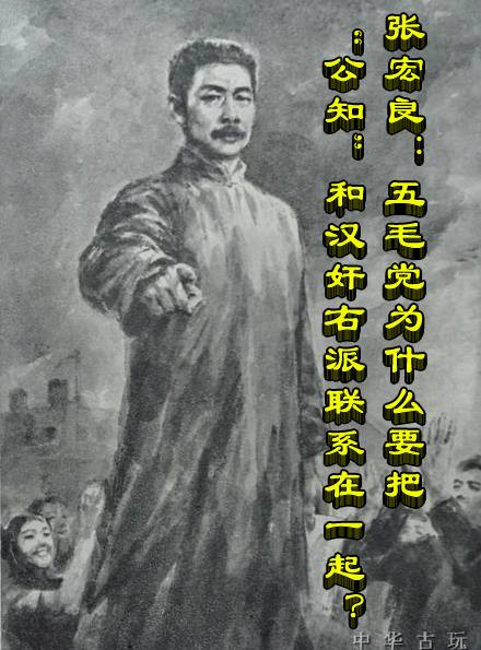 张宏良：五毛党为什么要把公知和汉奸右派联系在一起（音频版）