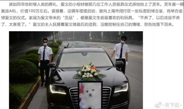 网红的狗坐轿子，富人的狗改历史
