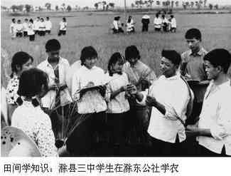 究竟给毛泽东时代的社会主义道路如何定性？