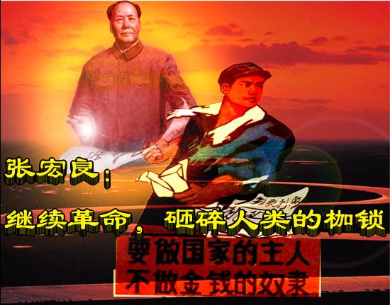 张宏良：继续革命，砸碎人类的枷锁
