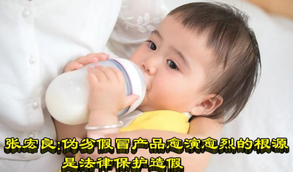 张宏良：伪劣假冒产品愈演愈烈的根源是法律保护造假
