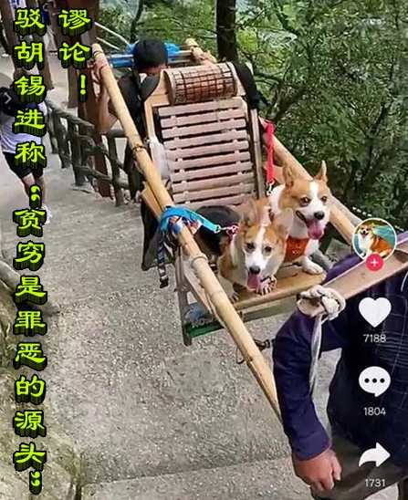 谬论！驳胡锡进称“贫穷是罪恶的源头”