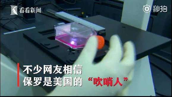 感染者或已超1000例！美国“吹哨人”爆料CDC刻意隐瞒疫情