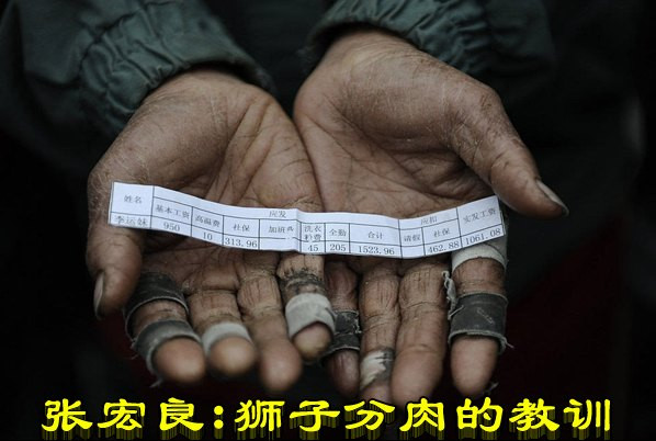 张宏良：狮子分肉的教训