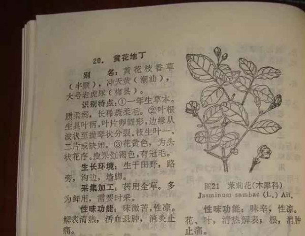 赤脚医生：悬壶济世的温暖记忆【1】