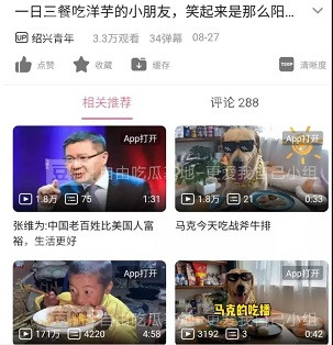 子午：富人的狗