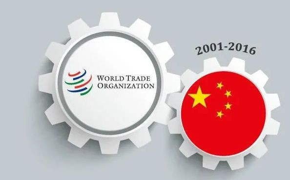 张宏良：WTO的噩梦