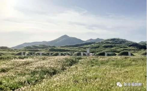 有这样一位志愿军老兵